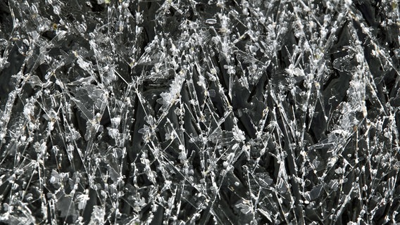 Eiskristalle auf dem "Kleinen Landgraben" bei Neddemin © NDR Foto: Karsten Hillmann aus Neubrandenburg