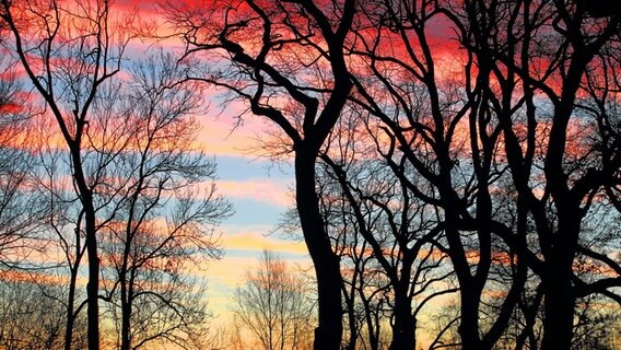 Sonnenaufgang mit Streifen in blau und orange © NDR Foto: Helgard Schnabel aus Neubrandenburg