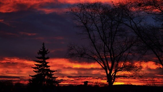 Sonnenuntergang © NDR Foto: Loreen Ruckick aus Deven