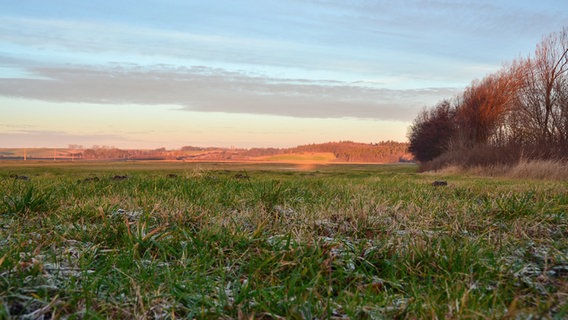 Sonnenaufgang © NDR Foto: Marion Heuck aus Neubrandenburg