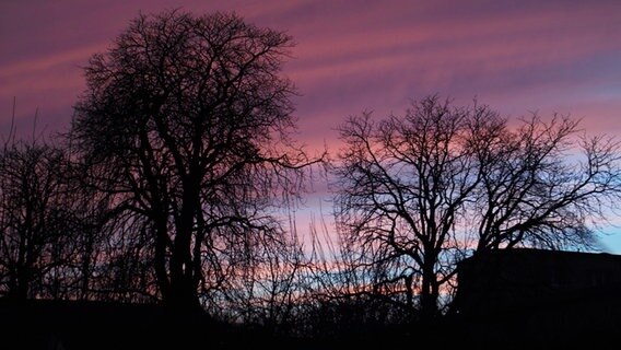 Rote Wolken am Abendhimmel © NDR Foto: Georg Huyoff aus Röbel