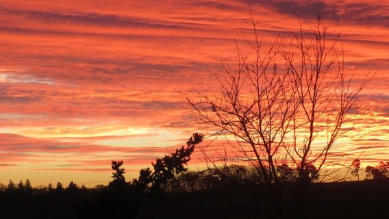 Sonnenaufgang © NDR Foto: Ina Hähni Imhof aus Sommersdorf