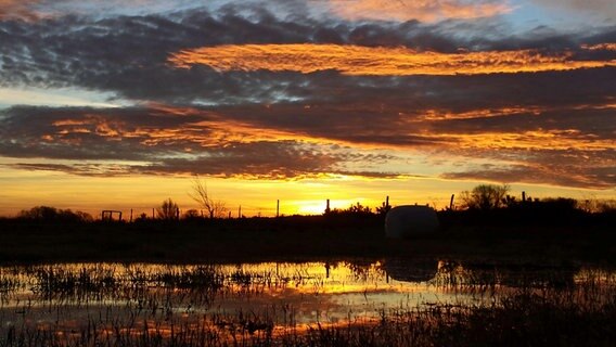 Sonnenaufgang über Demmin © NDR Foto: Stefanie Dubbert aus Demmin