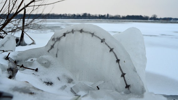 ein eingefrorener Zweig am Tiefwarensee in Waren © NDR Foto: Andrea Werner aus Waren