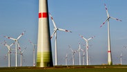 Windpark bei Grapzow/Altentreptow © NDR Foto: Eckhard Wolfgramm aus Salow