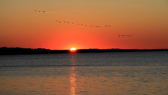 Sonnenuntergang über einem See © NDR Foto: Klaus Kocik aus Waren