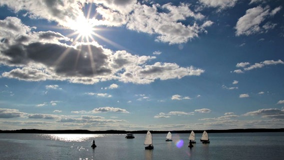 Segler auf einem See © NDR Foto: Wilfred Baganz aus Neustrelitz