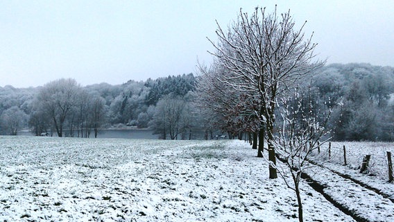 Schnee liegt auf einem Feld © NDR Foto: Annett Wolff aus Lapitz
