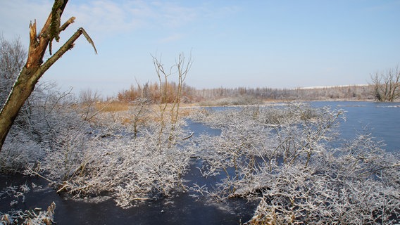 Frostiges Biotop © NDR Foto: Detlef Matthias aus Greifswald