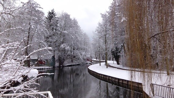 Schneelandschaft am Oberbach in Neubrandenburg © NDR Foto: Robert Bender aus Neubrandenburg