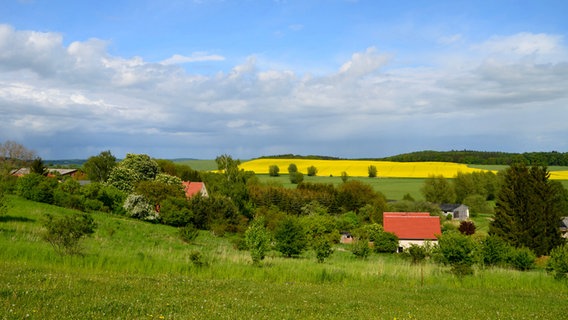 Landschaft mit gelbem Rapsfeld © NDR Foto: Wolfgang Dee aus Neubrandenburg