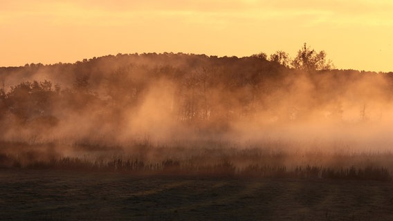 Morgennebel im Tollensetahl bei Woggersin © NDR Foto: Karl-Heinz Fritschek aus Neubrandenburg