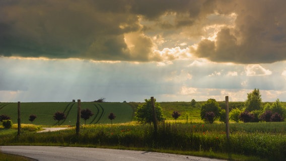 Sonnenstrahlen brechen durch eine dicke Wolkendecke auf ein grünes Feld herunter. © NDR Foto: Werner Bayer aus Neubrandenburg