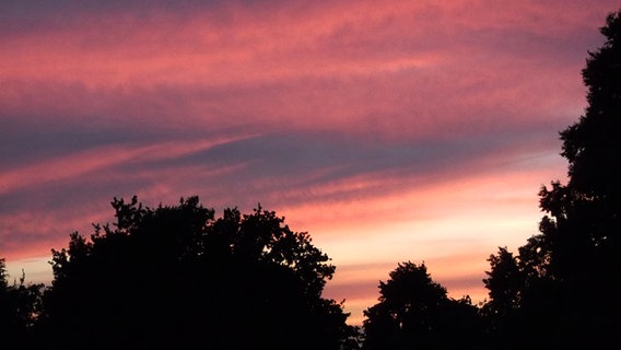 Sonnenuntergang © NDR Foto: Evelyn Hoffmann aus Dambeck