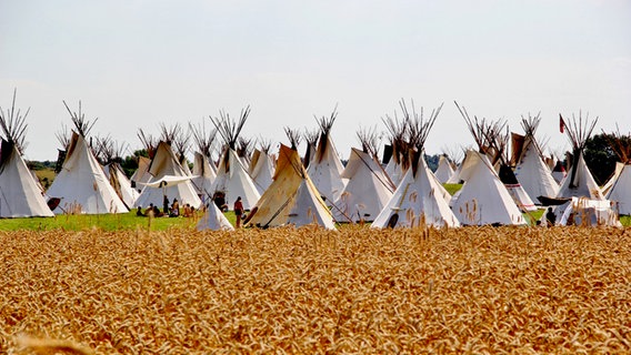 Ein Indianerdorf auf einer Wiese © NDR Foto: Eckhard Wolfgramm aus Salow