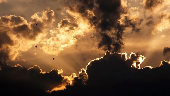 Wolken, angestrahlt von der Abendsonne © NDR Foto: Gerhard Frenz aus Rosenow