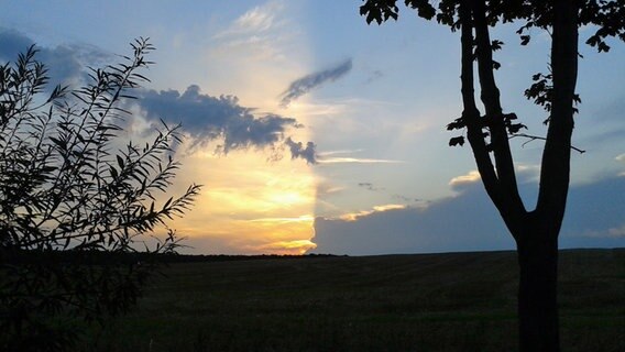 Sonnenuntergang über einer Landschaft © NDR Foto: Stephanie Brügger aus Laschendorf