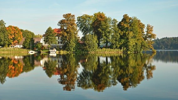 Bunte Laubbäume an einem See © NDR Foto: Norbert Brandt aus Neubrandenburg