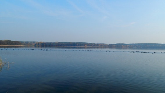 Weiter Blick über einen See © NDR Foto: Susan Hoffmann aus Dalmsdorf