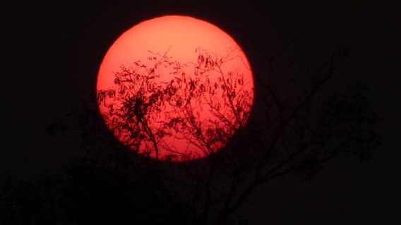 rote Sonne am Abend © NDR Foto: Susan Hoffmann aus Dalmsdorf