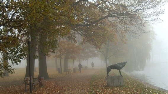 Gehweg entlang eines Sees im Nebel. © NDR Foto: Arno Boelter aus Waren