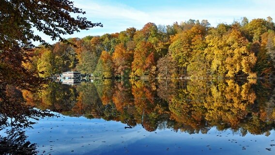 See von Wald umgeben im Herbst © NDR Foto: Norbert Brand aus Neubrandenburg