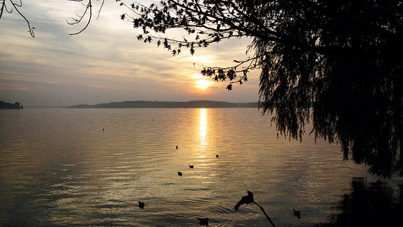 Sonnenuntergang an der Müritz © NDR Foto: Manfred Bergholz aus Waren an der Müritz