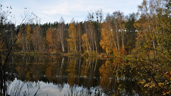Weiter Blick über einen See © NDR Foto: Esra Kurtoglu aus Mirow