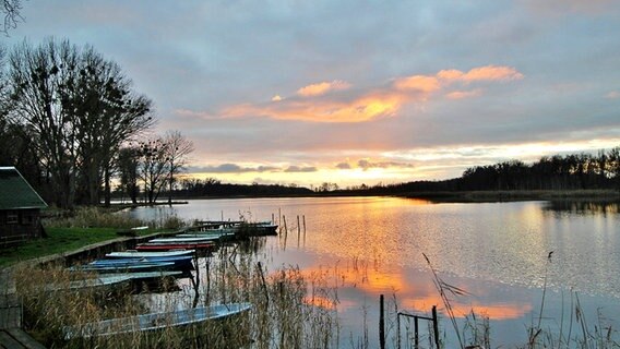 Blick über den Friedländer Mühlenteich © NDR Foto: Eckhard Wolfgramm aus Salow