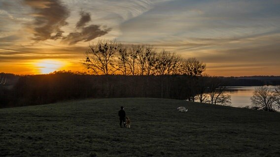 Ein Mann geht mit seinen Hunden im Sonnenuntergang Gassi. © NDR Foto: Wilfried Baganz aus Neustrelitz