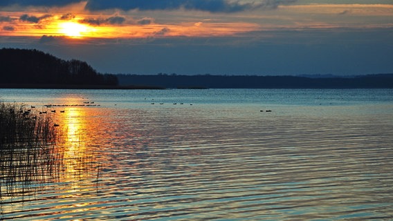 Sonnenuntergang über einem See © NDR Foto: Norbert Brandt aus Neubrandenburg