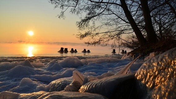 Sonnenuntergang über zugefrorener Uferlandschaft © NDR Foto: Wolfgang Dee aus Neubrandenburg