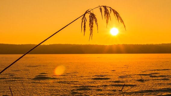 Die Sonne geht über einem zugefrorenem See auf und gibt der Landschaft eine orange Farbgebung. © NDR Foto: Ingo Hecht aus Kratzeburg