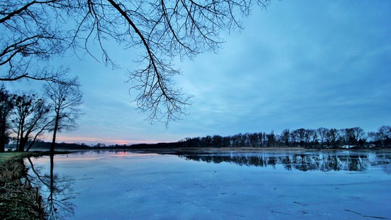 Blick über den Friedländer Mühlenteich © NDR Foto: Eckhard Wolfgramm aus Salow