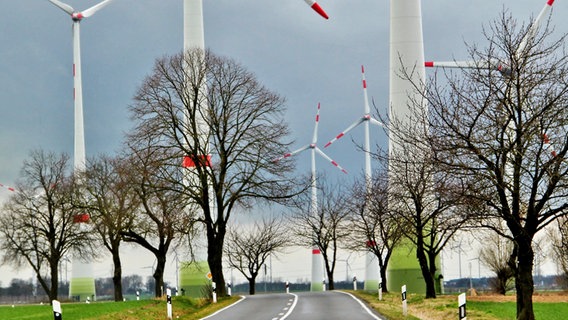 Eine Straße führt durch einen Windpark. © NDR Foto: Eckhard Wolfgramm aus Salow