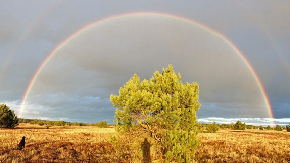 Doppelter Regenbogen über einer Heidelandschaft. © NDR Foto: Thomas Risch aus Viereck