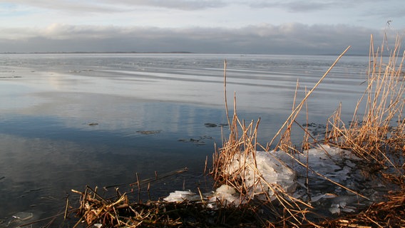 Letztes Eis auf dem Achterwasser des Loddiner Höftes © NDR Foto: Stephanie Turzer aus Loddin