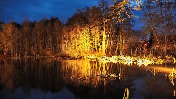 Ein Lichtstrahl strahl die Bäume am Ufer des Mühlenteichs an. © NDR Foto: Günter Kamp aus Greifswald