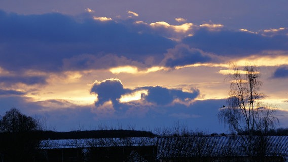 Dicke Wolken werden von der aufgehenden Sonne angestrahlt. © NDR Foto: Detlef Matthias aus Greifswald