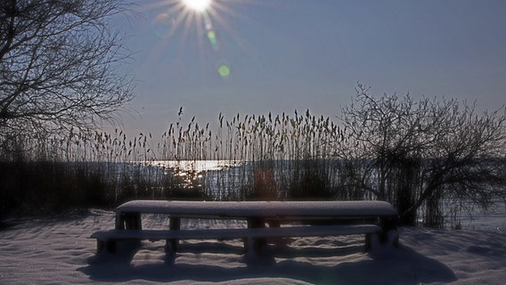 Sonniges Winterwetter an der Südseite der Insel Usedom © NDR Foto: Anke Denzel aus Bossin