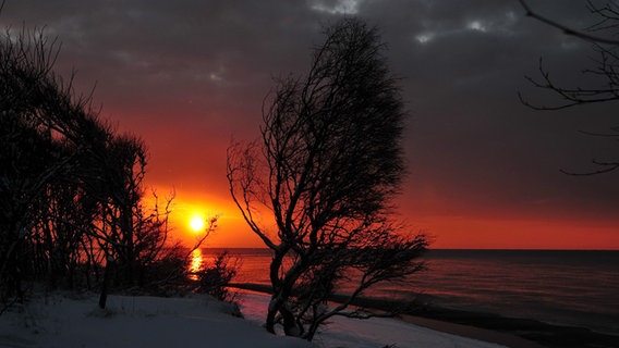 Sonnenuntergang am Weststrand in Born © NDR Foto: Richard Schröder aus Ribnitz-Damgarten