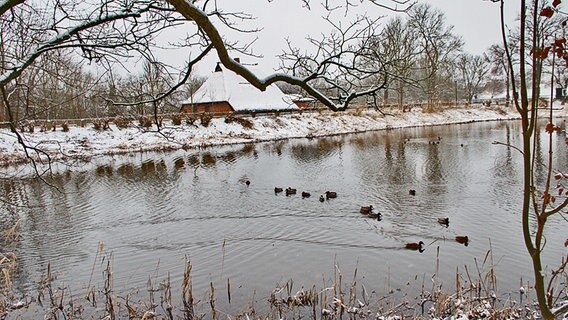 Winterlandschaft am Mühlenteich in Neubukow. © NDR Foto: Ulrich Wendt aus Neubukow