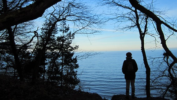 Eine Frau blickt auf das Meer © NDR Foto: Hella Stadelmann aus Ahlbeck