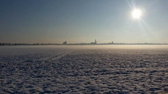 Greifswalds Skyline von einem Feld aus betrachtet. © NDR Foto: Andre Ohseloff aus Neuenkirchen