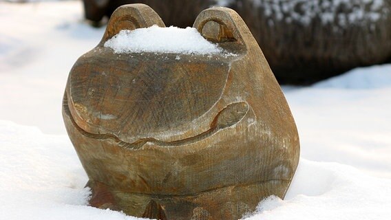 Einem lächelnden Holzfrosch steht der Schnee bis zum Hals. © NDR Foto: Christine Arend aus Kloster/Hiddensee