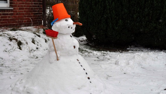 Ein Schneemann hat eine Möhre als Nase und einen Eimer als Hut. © NDR Foto: Max Bachmann aus Sassnitz