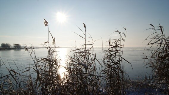 Blick auf den Greifswalder Bodden © NDR Foto: Waltraut Bolscho aus Greifswald