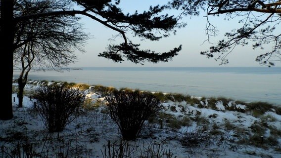 Strand in Lubmin © NDR Foto: Rainer Eberlein aus Dobin am See