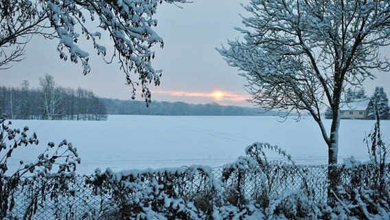 Wintermorgen in der Nähe von Demmin © NDR Foto: Heinrich Metzmacher aus Demmin