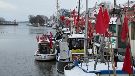 Rote Farbtupfer im Hafen von Greifswald © NDR Foto: Ute Reuschel aus Greifswald